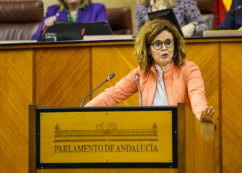 La Junta rechaza una moción de Por Andalucía sobre Atención Temprana