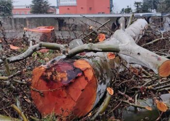 El caro peaje ambiental, económico y de salud del soterramiento de la A5