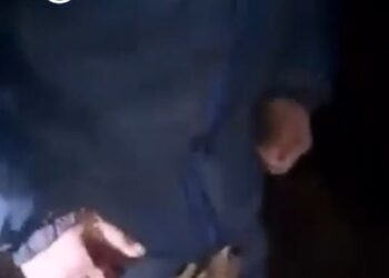 Cesado el alcalde del PSOE de la localidad granadina de Gumiel tras difundir un vídeo en el que mata brutalmente a un zorro