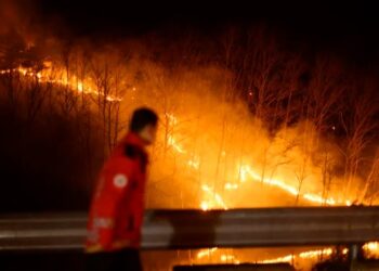Controlada la mayor parte del incendio forestal de Corea del Sur