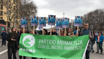 PACMA advierte: los “therian” no tienen nada que ver con el animalismo y pueden poner en riesgo la seguridad de los animales