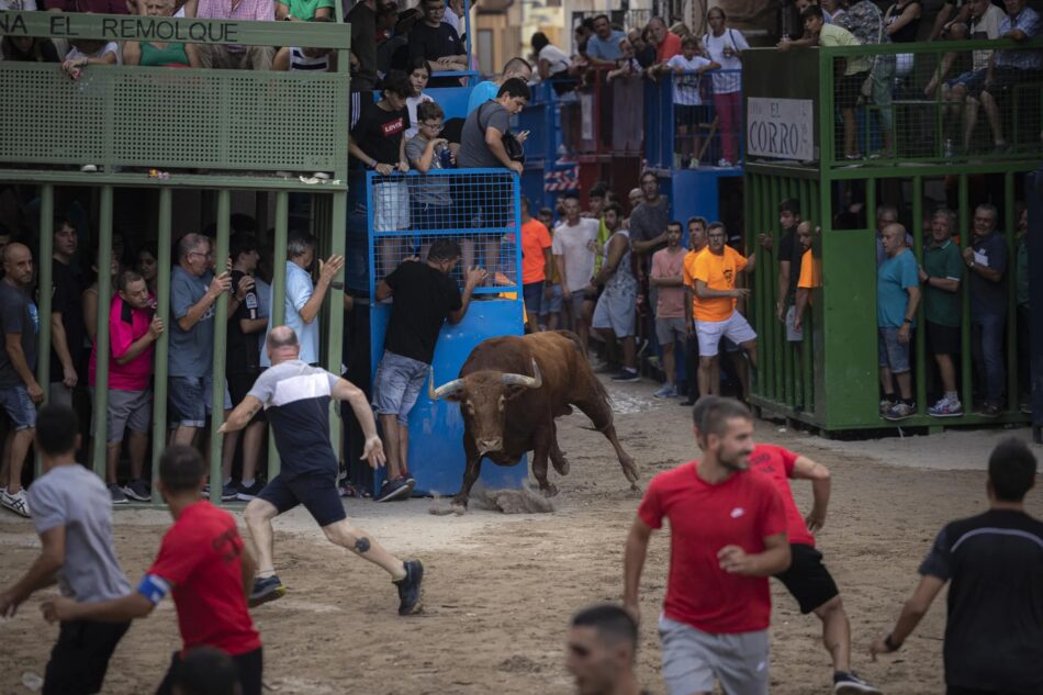 La plataforma antitaurina de la Comunidad Valenciana señala que la muerte de un hombre en los festejos taurinos de Dos Aguas era evitable