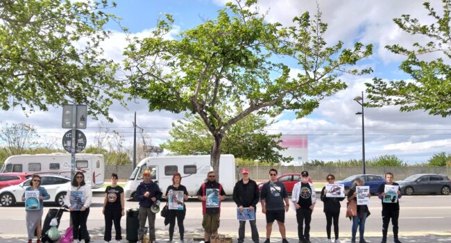 Activistas por la liberación animal protestan frente al Oceanográfico