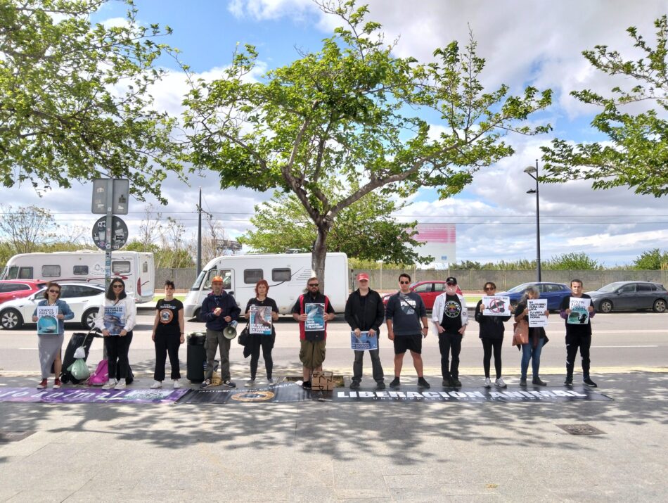 Activistas por la liberación animal protestan frente al Oceanográfico