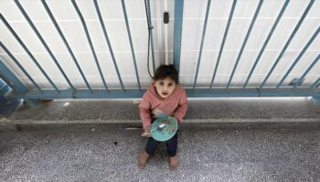 UNRWA: Palestinos comen “lo que encuentren” ante la escasez de alimentos