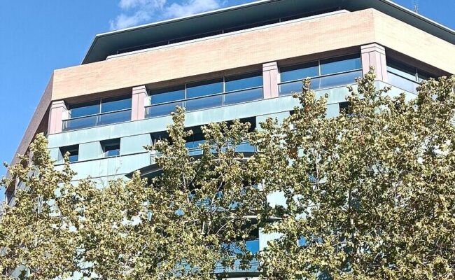 CCOO denuncia la falta de agilidad y transparencia de la bolsa de empleo temporal de la Conselleria de Sanidad
