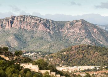 “Diversidad ausente” o cómo los humanos impactan en la naturaleza a escala global