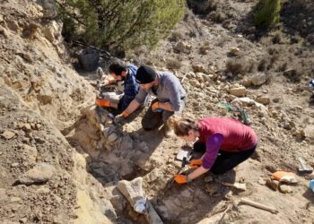 Encuentran fósiles del espécimen más antiguo del dinosaurio Iguanodon en Teruel