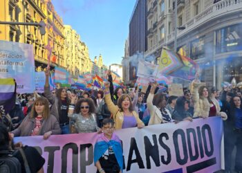 Plataforma Trans pide al Constitucional que no se sume a la carrera de odio contra las personas trans