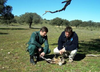 «¡SOS Venenos en Extremadura! La Comunidad Autónoma con mayor diversidad y con menor vigilancia, prevención y protección»