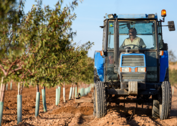Agricultura y cambio climático: arranca el ciclo de webinars de AgriAdapt con soluciones prácticas para el campo