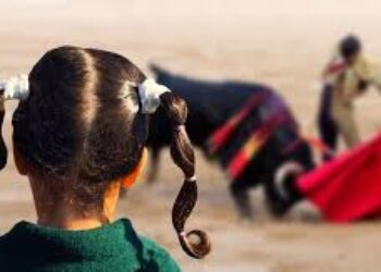 Por Andalucía solicita una Modificación de Ley para prohibir la asistencia de menores a espectáculos taurinos