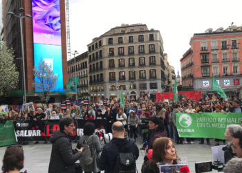 Centenares de personas convocadas por el PACMA se concentran en Callao para exigir al Gobierno que frene la caza del lobo ibérico