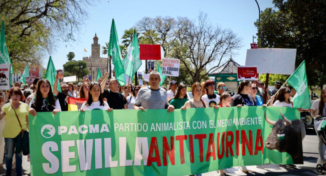 PACMA celebra el éxito de su manifestación antitaurina en Sevilla con centenares de asistentes