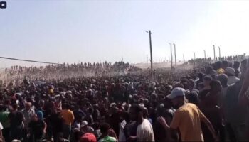 Más de 800 palestinos asesinados por Israel mientras buscaban comida