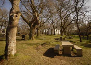 Galardón “Lambirón” ás malas prácticas ambientais e culturais