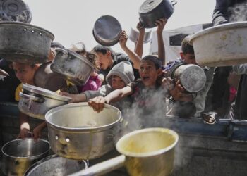 Decenas de cocinas comunitarias en Gaza cierran ante falta de insumos