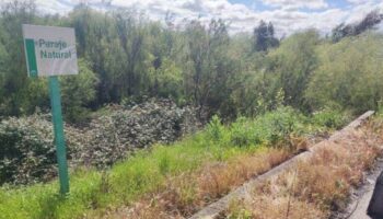 Ecologistas en Acción denuncia que la Junta de Andalucía fumiga con glifosato los parques naturales