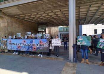 El Grupo Lobo Asturias ha presentado recurso potestativo contra el “Programa de actuaciones de control del lobo 2025-2026” del Gobierno de Asturias