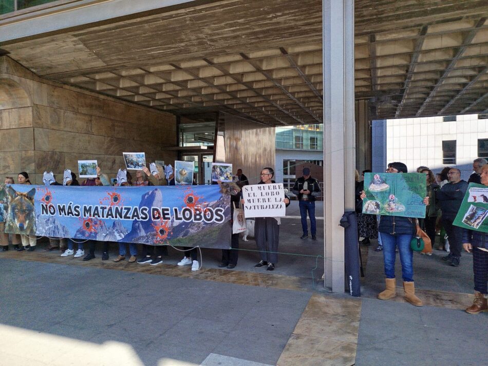 El Grupo Lobo Asturias ha presentado recurso potestativo contra el “Programa de actuaciones de control del lobo 2025-2026” del Gobierno de Asturias