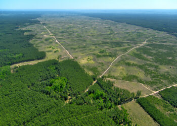 Las grandes corporaciones y los bancos son los mayores responsables de la pérdida de biodiversidad