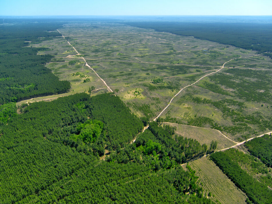 Las grandes corporaciones y los bancos son los mayores responsables de la pérdida de biodiversidad