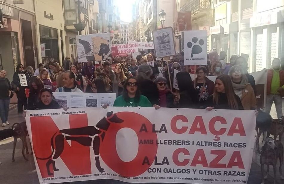 David Rubio, exportavoz de la Plataforma No A la Caza (NAC), absuelto del delito de calumnias tras una denuncia de la Fundación Artemisan