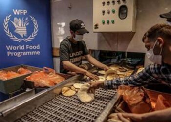 Tan solo 4 panaderías permanecen operativas en Gaza