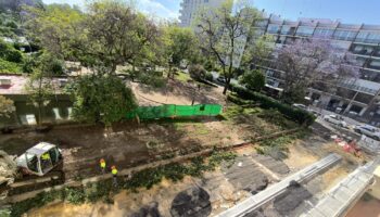 Ecologistas en Acción denuncia ante la Fiscalía de Medio Ambiente en Sevilla las obras en el parque Manuel Ferrand