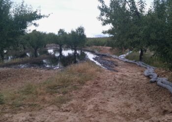IU RM exige depurar responsabilidades por e lvertido de petróleo en Calasparra