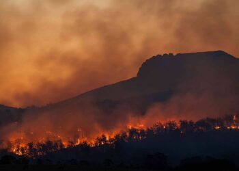 Las políticas europeas frente a incendios resultan insuficientes