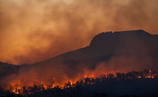 Forestales de Madrid paralizan la huelga hasta el 25 de agosto y solicitan una reunión urgente a TRAGSA y la Comunidad de Madrid