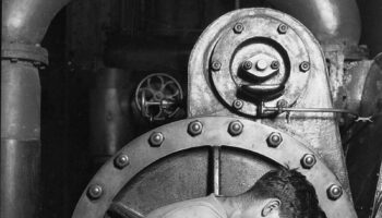 Trabajo y derechos laborales
