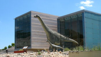 El personal auxiliar del Museo Paleontológico de C-LM iniciará movilizaciones la próxima semana si no se resuelve su situación