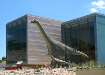 El personal auxiliar del Museo Paleontológico de C-LM iniciará movilizaciones la próxima semana si no se resuelve su situación