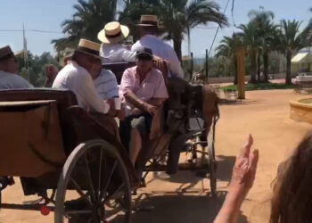 Caballos a 40 grados tirando de carruajes en la Feria de Córdoba: el Partido Animalista exige responsabilidades al Ayuntamiento