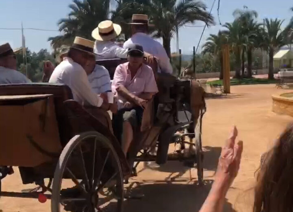 Caballos a 40 grados tirando de carruajes en la Feria de Córdoba: el Partido Animalista exige responsabilidades al Ayuntamiento