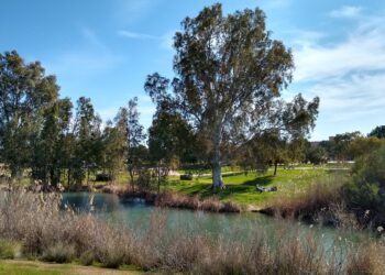 Ecologistas en Acción rechaza la activación de la SE-35 en Sevilla, al afectar al parque del Tamarguillo y a espacios de gran valor ambiental