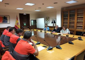 IU lleva al Congreso el ERE de Bridgestone para lograr más implicación del Gobierno e “impedir la destrucción de empleo y la deslocalización que planea la multinacional”