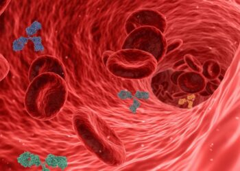 Una nueva prueba del ‘colesterol malo’ previene con más precisión enfermedades coronarias