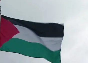 OMS aprueba izar en su sede la bandera de Palestina
