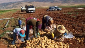 Naciones Unidas alerta ante la crisis alimentaria en el mundo