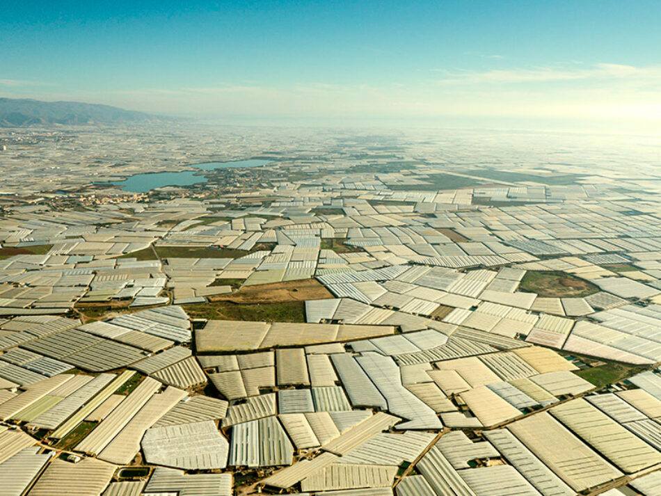 Ecologistas en Acción, «en defensa del sector agrícola, pero no de la agroindustria»