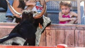 Por Andalucía muestra su disconformidad con que los menores participen en espectáculos taurinos y señala al Gobierno Moreno Bonilla, que sigue ignorando al Comité de los Derechos de los Niños de la ONU