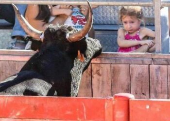 Por Andalucía muestra su disconformidad con que los menores participen en espectáculos taurinos y señala al Gobierno Moreno Bonilla, que sigue ignorando al Comité de los Derechos de los Niños de la ONU
