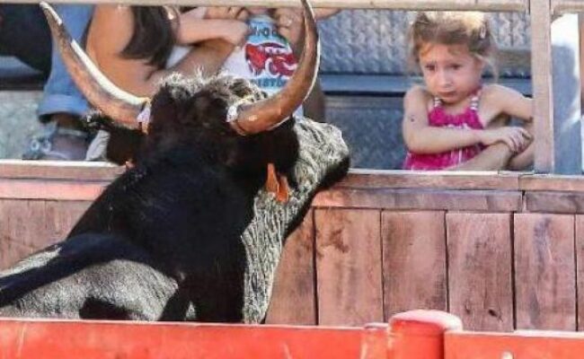 Por Andalucía muestra su disconformidad con que los menores participen en espectáculos taurinos y señala al Gobierno Moreno Bonilla, que sigue ignorando al Comité de los Derechos de los Niños de la ONU