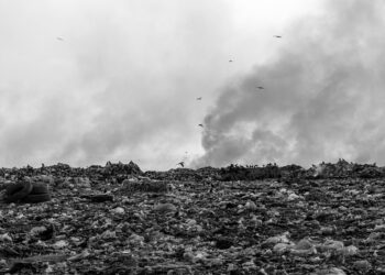 IU exige que la Junta desista del proyecto de macro incineradora para Castilla y León