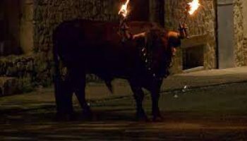 Respuesta a ANPBA: los «toros de fuego» y los «enmaromados» «no pueden tener lugar en el territorio de la Comunidad de Madrid»