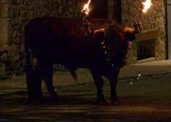 Respuesta a ANPBA: los «toros de fuego» y los «enmaromados» «no pueden tener lugar en el territorio de la Comunidad de Madrid»