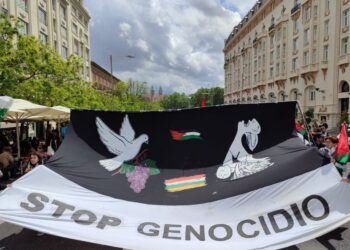 15M, aniversario de la Acampada La Rioja: Marcha por Palestina